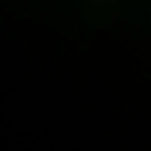 Meet your Posher, Vick